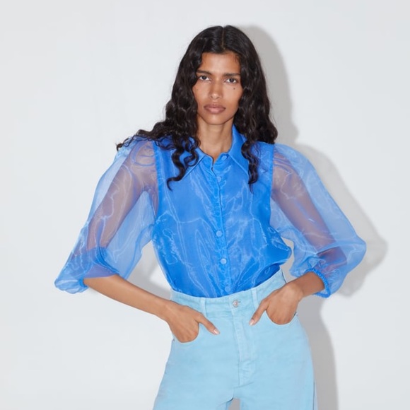 Zara Tops Zara Organza Blouse With Full Sleeves Poshmark
